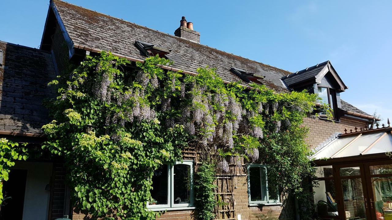 Ty Carreg Bed and Breakfast Llanwrtyd Wells Exterior foto